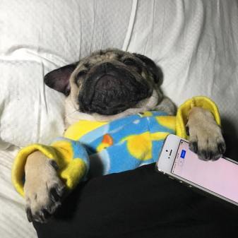 No sense in responding now.jpg