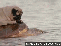 tumblr_inline_o54etx8f4w1t1d8nx_500