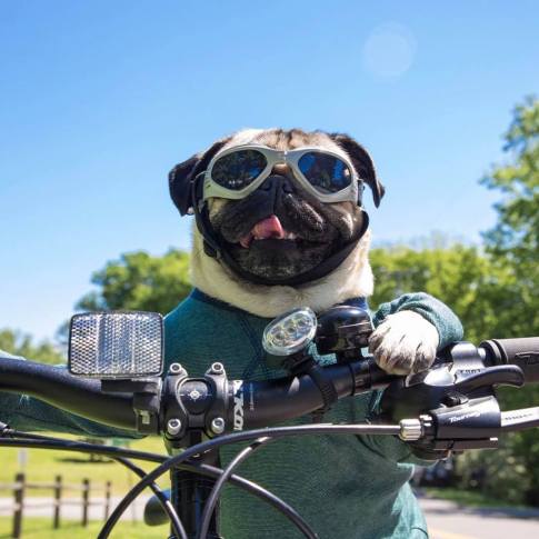 Go after what you really want in life