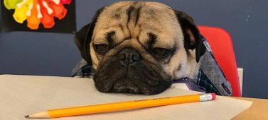 No one likes making a budget that tells them what they should spend.