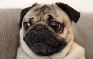 Uncertainty causes stress