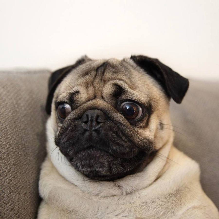 Uncertainty causes stress