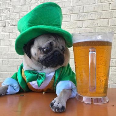 When you know you shouldn't be spending so much money on booze, but you haven't got anything to replace it with