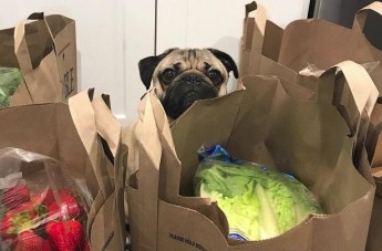 When you realize you spent your entire paycheck on food